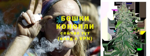 шишки Нягань