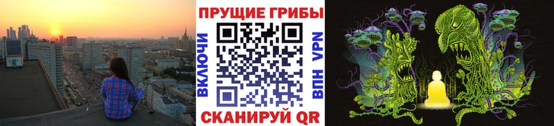 Псилоцибиновые грибы Magic Shrooms  гидра онион  Нефтекумск 